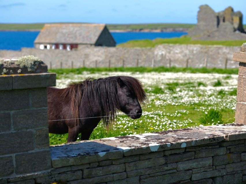 From Edinburgh: 6-Day Shetland & Nothernmost Explorer - Day 6: Dunnottar Castle and St Andrews as a Scotland-style finale