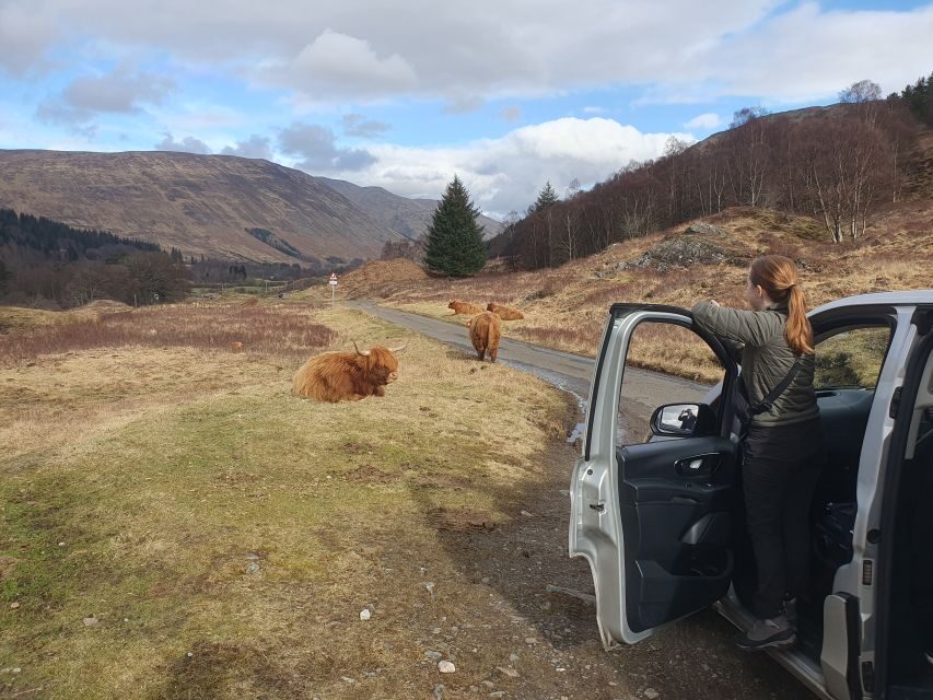 From Edinburgh: a Private Tour to a Majestic Highland Glen - Price and Logistics: Does $814 Per Group Up to 5 Make Sense?