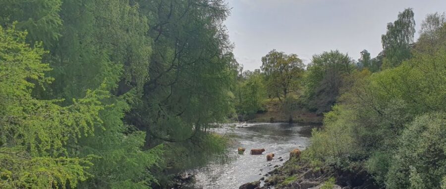 From Edinburgh: a Private Tour to a Majestic Highland Glen - Pickup from Edinburgh or Glasgow, Then Straight to Forth Bridge Views