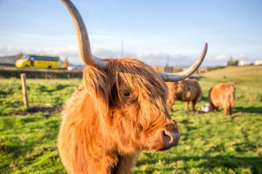 From Edinburgh: Isle of Skye & The Highlands 3-Day Tour - Glen Coe to Rannoch Moor to Rob Roy country, then back to Edinburgh