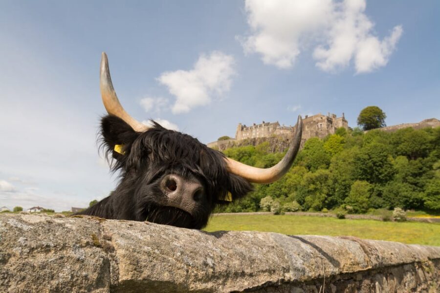 From Edinburgh: Loch Lomond, Stirling Castle & Kelpies Tour - Aberfoyle lunch stop: plan your own food and keep energy up