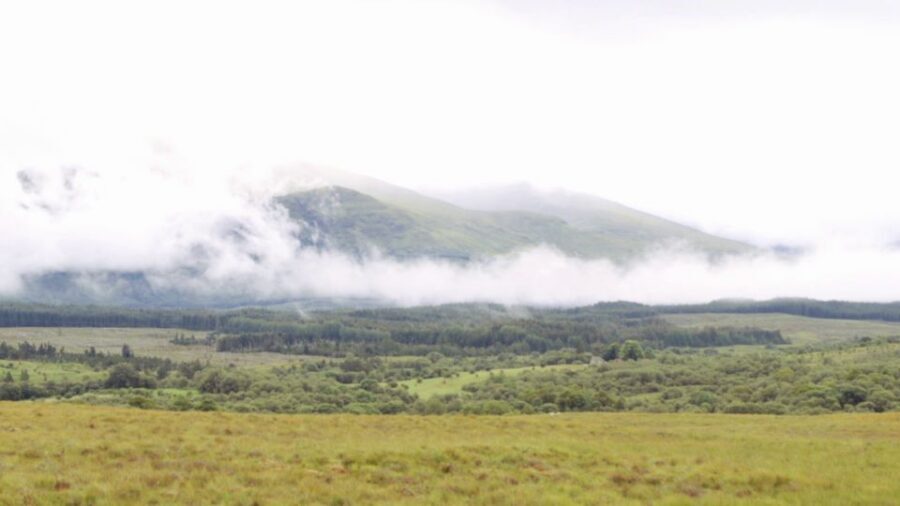 From Edinburgh: Loch Ness and Highlands Tour in Spanish - Key things I’d prioritize on this tour