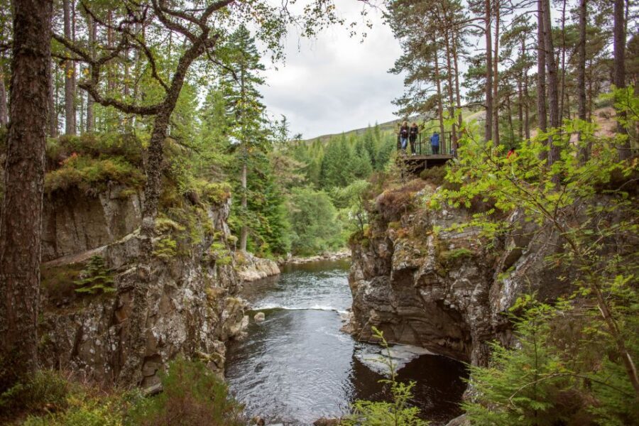 From Edinburgh: Loch Ness and Scottish Highlands Day Tour - Lunch and Loch Ness: Looking for Nessie, Not Speed-Running