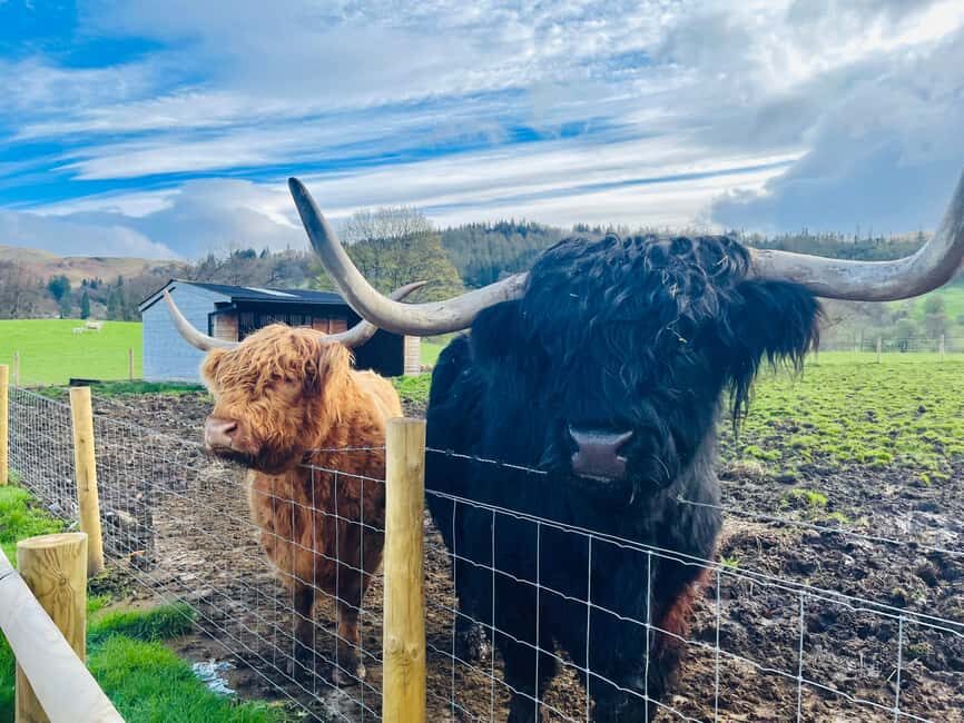 From Edinburgh: Loch Ness, Glencoe & The Highlands Day Trip - Key highlights worth your attention