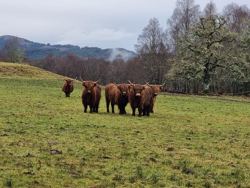 From Edinburgh: Loch Ness Private Day Tour with Transfers - Key highlights