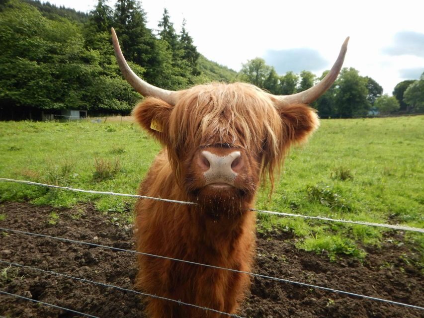 From Edinburgh: Orkney, Skye and the Far North 8 Day Tour - Day 3: Skye all day with Cuillin views, Quiraing, and Trotternish