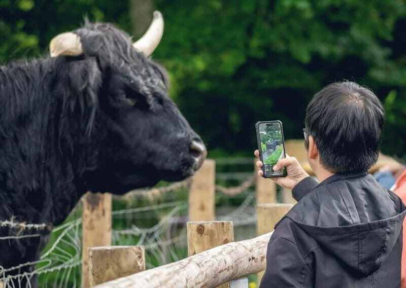 From Edinburgh: Stirling Castle, Kelpies and Loch Lomond - Key moments that make this trip worth your time
