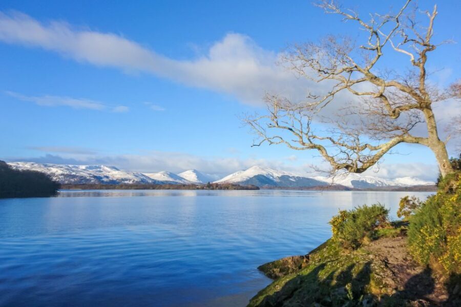 From Edinburgh: Stirling Castle, Loch Lomond & Whisky Tour - Should you book?