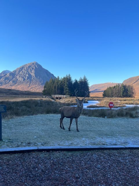 From Edinburgh: The Kelpies, Glencoe & Loch Lomond Day Tour - Callander and Kilmahog: a Highlands reset before the big scenery