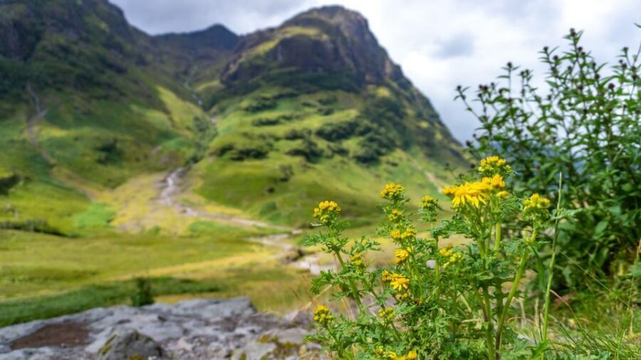 From Glasgow: Jacobite Steam Train & The Highlands Tour - Key highlights at a glance