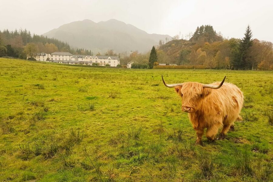 From Glasgow: Loch Lomond, Trossachs & Stirling Castle Tour - Price and Value: What $71 Buys, and What Costs Extra