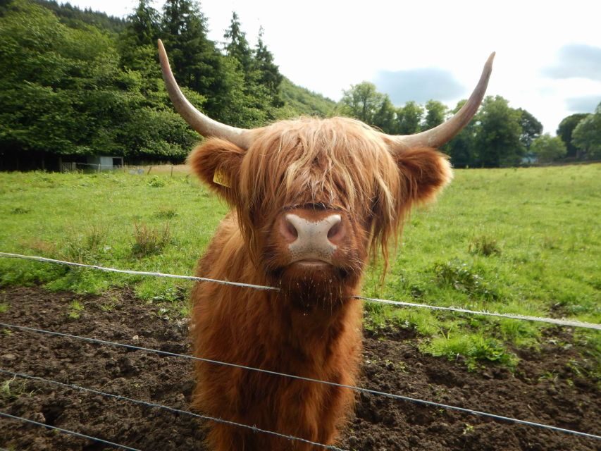From Glasgow: Scottish Highlands & Isle of Skye 5-Day Tour - Day 4 from Skye to Inverness: Eilean Donan Castle, Loch Ness choices, and Urquhart