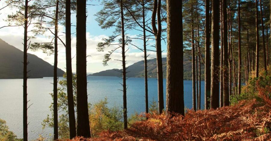 From Glasgow: Stirling Castle & Loch Lomond Tour with Cruise - Key Highlights Worth Carving Time For
