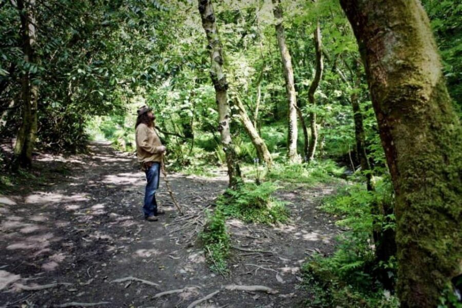 From Glastonbury: 2-Day Tintagel, Boscastle & Dartmoor Tour - Key things I’d circle before you book