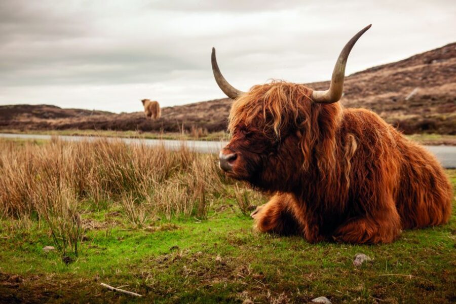 From Inverness: 3-Day Orkney Explorer - Value check: what $624 buys you (and what it doesn’t)