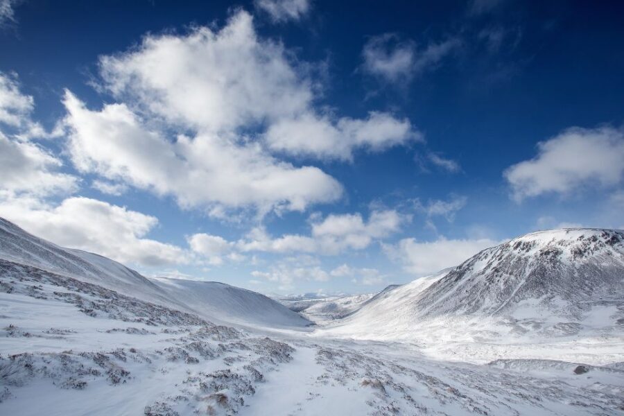 From Inverness: Cairngorms National Park and Whisky Tour - Cairngorms National Park viewpoints: Dava Moor roads and big-altitude energy