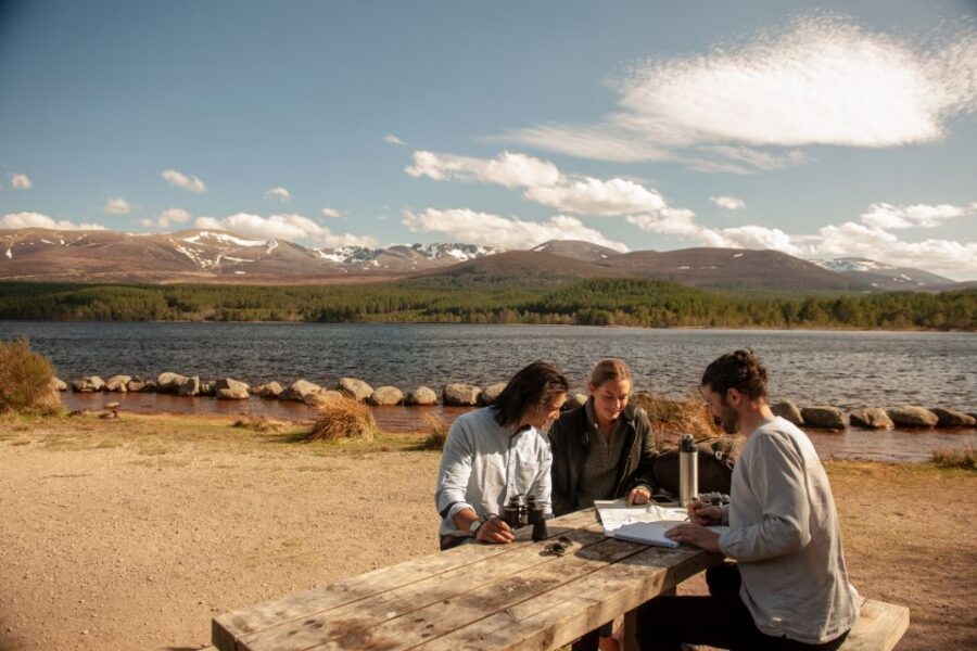 From Inverness: Cairngorms National Park and Whisky Tour - Glenmore Forest Park and Loch Morlich: short walk options that still feel worth it