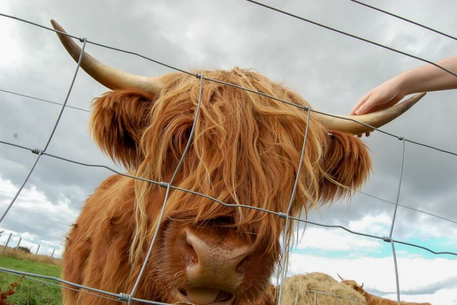From Inverness: Isle of Skye and Fairy Pools Day Trip - Skye Bridge, Kyleakin, and Cuillin Hills Views