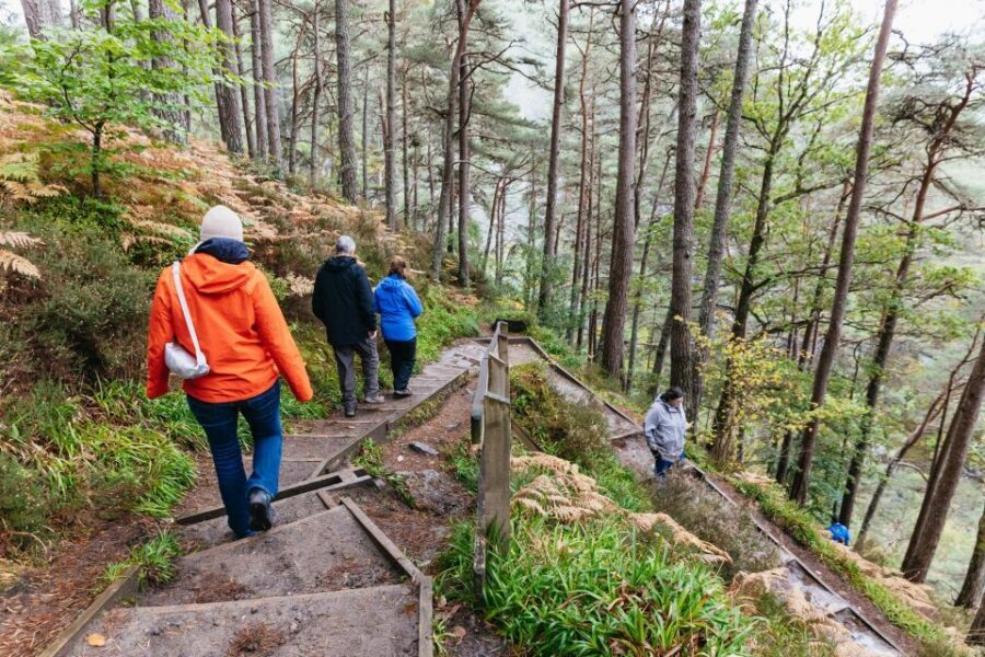 From Inverness: Loch Ness Guided Day Trip - Key things I’d circle before you book