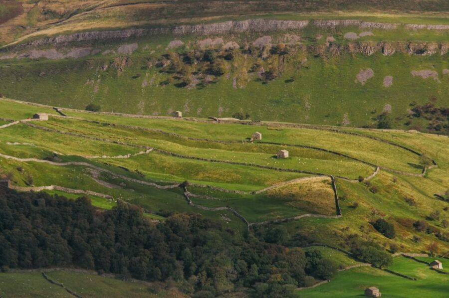 From Lake District: Full-Day Yorkshire Dales Tour - Yorkshire Dales National Park: long views and the value of photo-stop time