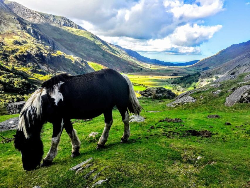 From Liverpool: North Wales Adventure Sightseeing Day Trip - Price and Value: What You’re Paying For