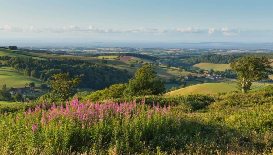 From London: Canterbury & White Cliffs of Dover Tour - Key Things You’ll Notice