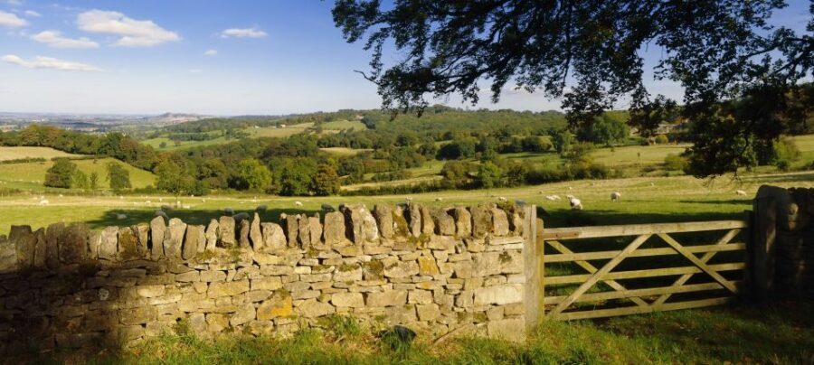 From London: Full-Day Cotswolds Small-Group Tour - The timing math: how you get value out of 9.5 hours
