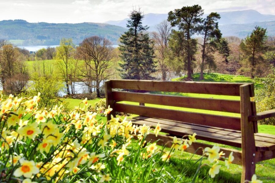 From London: Lake District Tour with Cream Tea & Cruise - Price and value: what $438 buys you in real terms