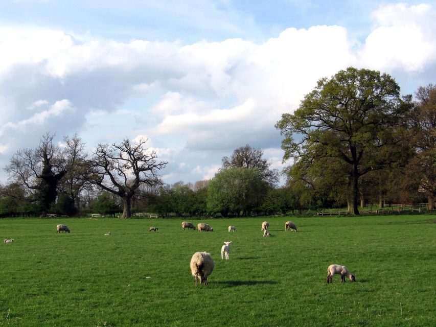 From London: Oxford, Stratford-upon-Avon & Cotswolds Trip - FAQ