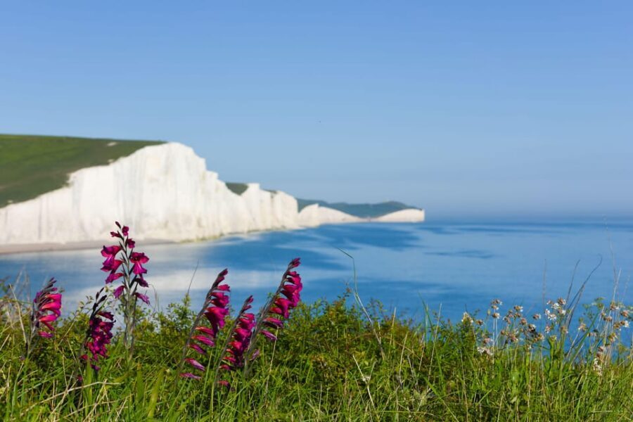 From London: Seven Sisters and Brighton Full-Day Tour - Seaford Head: your second viewpoint for better photos and better understanding