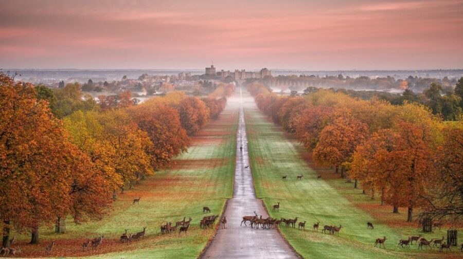 From London: Stonehenge, Windsor and Salisbury Guided Tour - Price and value: is $160.29 a smart use of your day?