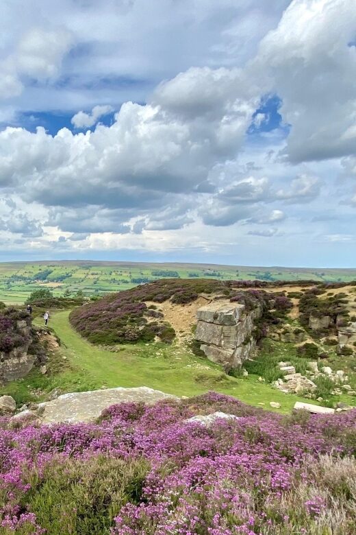 From London: The North York Moors with Steam Train to Whitby - North York Moors by Bus: How the Tour Gets You Off the Beaten Track