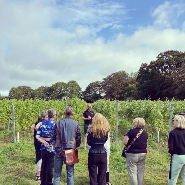 From London: Vintage Bus Wine Tour with Return Train Tickets - Pricing and Value: What You’re Paying For