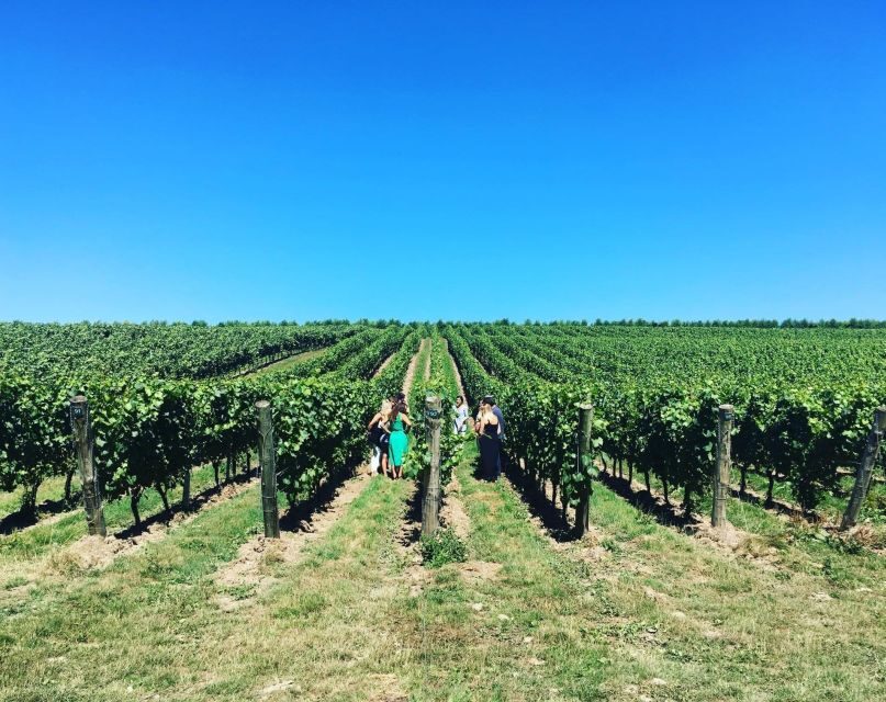 From London: Vintage Bus Wine Tour with Return Train Tickets - The Wine Tutoring: How to Get More From Each Pour