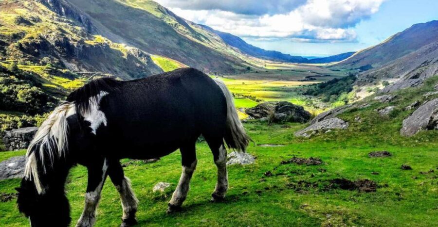 From Manchester: North Wales Sightseeing Adventure Day Trip - Snowdonia National Park: Betws-y-Coed and the Off-the-Route Feeling