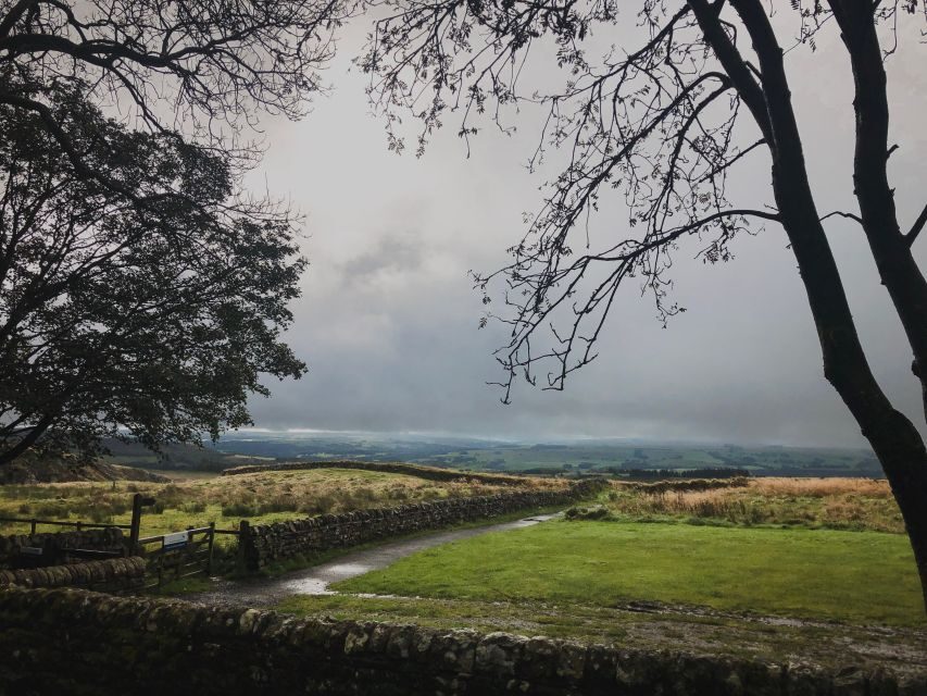From Newcastle: Hadrian's Wall Day Tour - The Walk Along Hadrian’s Wall to Housesteads