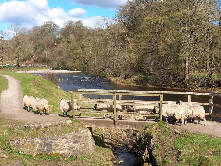 From York: Herriot and Yorkshire Dales Day Trip - Key things I’d watch for