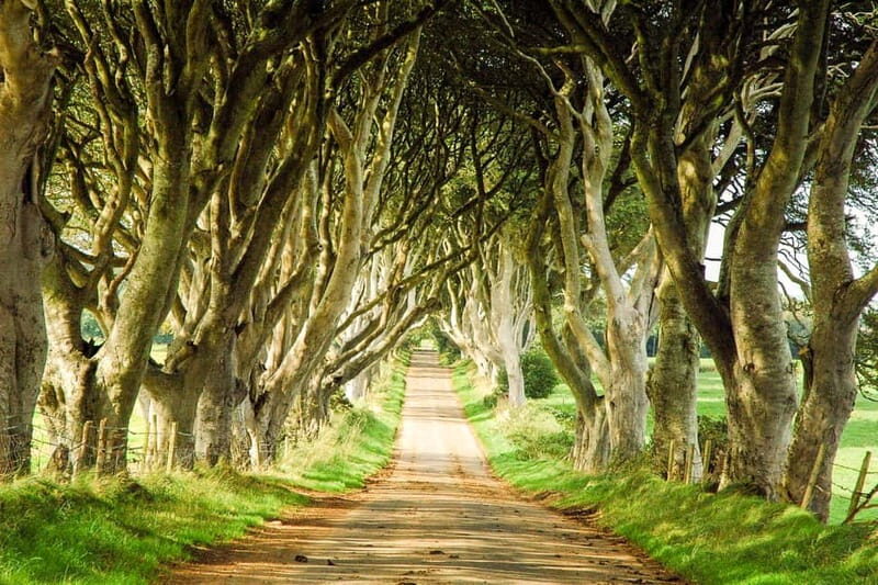 Game of Thrones & Giant's Causeway: Guided Tour from Belfast - Carrickfergus Castle: the Norman look that fits the story