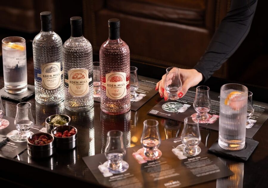 Gin Tasting Experience with a Perfect Serve - The session flow: from Original Gin G&T to your custom serve