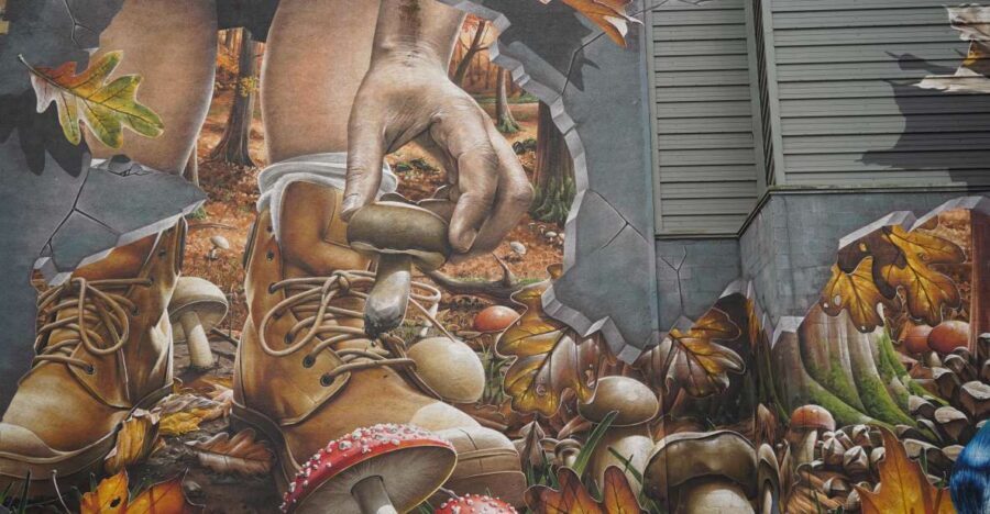 Glasgow: Food and Drink Tour - Key things you’ll notice on this Glasgow food and drink tour