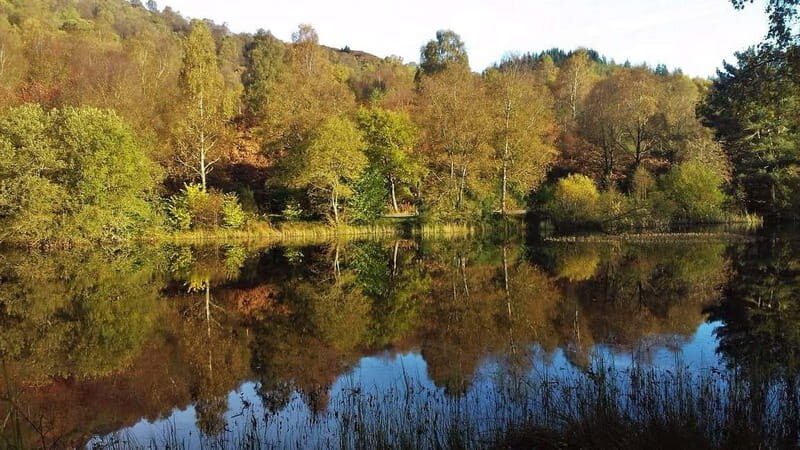Glasgow Shore Excursion: - Loch Lomond - Stirling Castle - Should you book this Loch Lomond and Stirling day trip?