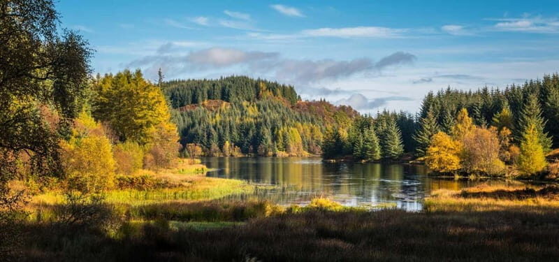 Greenock: Loch Lomond, Trossachs & Stirling Castle Tour - From Greenock Ocean Terminal to Luss: the day starts with quick momentum