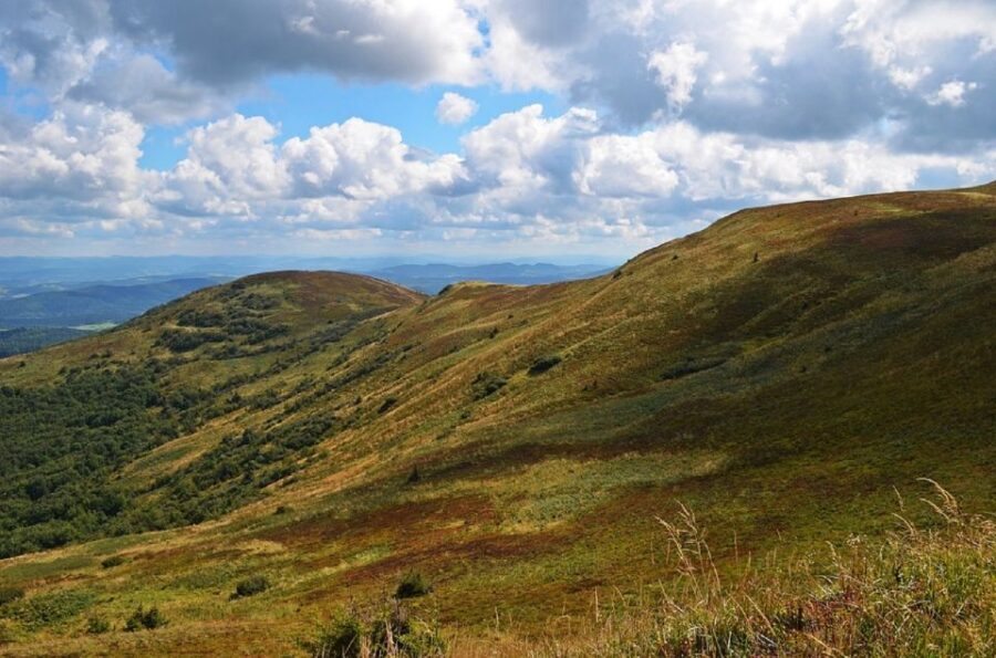 Greenock: Shore Excursion to Stirling Castle and Loch Lomond - Value for $92: What You’re Paying For (and What You’re Not)