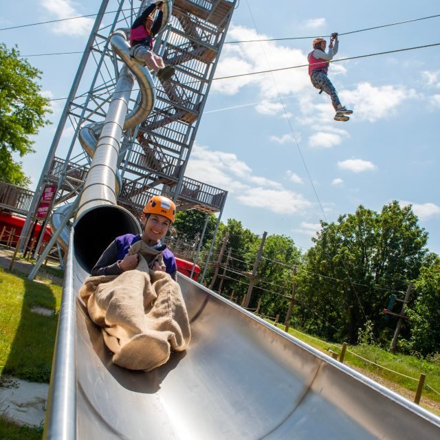 Gripped London: Zip Line, High Ropes & Freefall Adventure - High Ropes Course: Balance, Swings, and Treetop Height