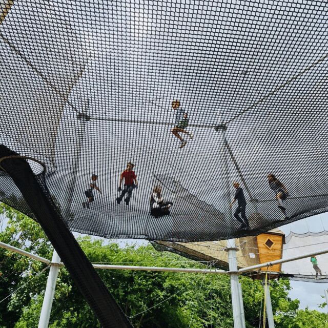 Gripped London: Zip Line, High Ropes & Freefall Adventure - Zip Trak Dual Ziplines: Race Side-by-Side Through the Air