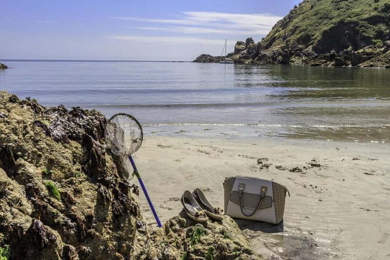 Guernsey: Half-Day Island Shore Excursion Tour - Key points worth knowing