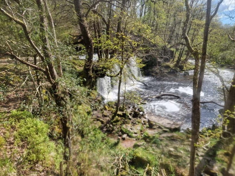 Guided Breacon Beacons 4 waterfalls in day hike from Cardiff - Waterfall Country: why this day trip from Cardiff makes sense