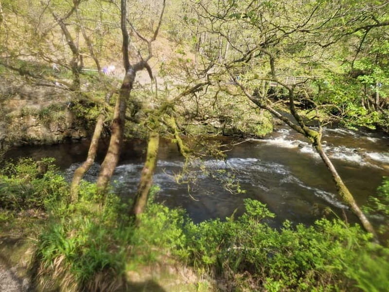 Guided Breacon Beacons 4 waterfalls in day hike from Cardiff - Sgwd y Pannwr: the quieter waterfall break for slower photos