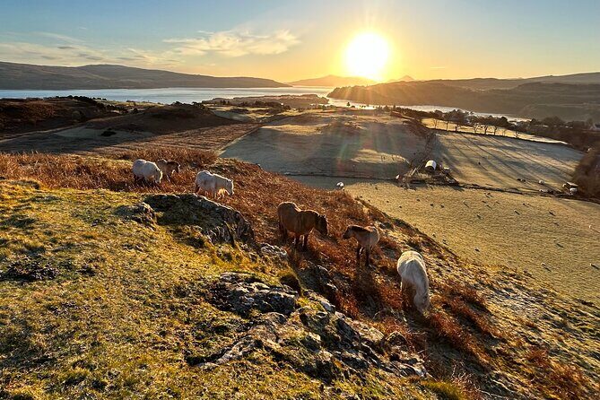 Guided Hebridean Farm Hike near Tobermory, Isle of Mull, Scotland - What to bring: strong boots and a small pack