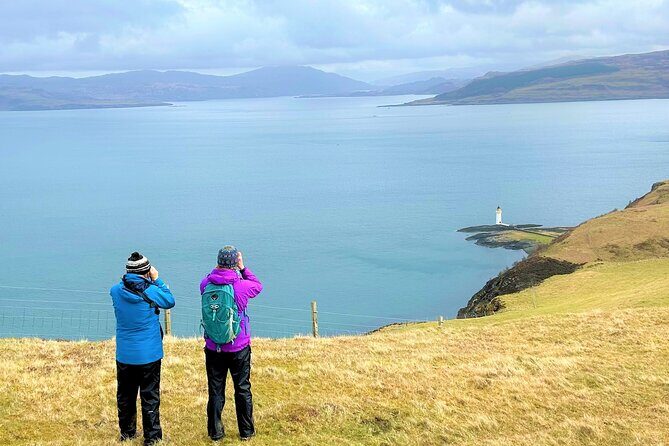 Guided Hebridean Farm Hike near Tobermory, Isle of Mull, Scotland - Livestock and birds: wildlife that shows up when you’re paying attention